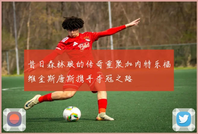 昔日森林狼的传奇重聚加内特乐福维金斯唐斯携手夺冠之路