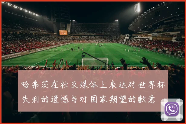 哈弗茨在社交媒体上表达对世界杯失利的遗憾与对国家期望的歉意